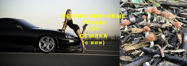 ECSTASY Богданович