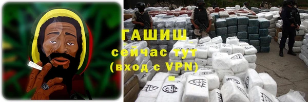 ECSTASY Богданович