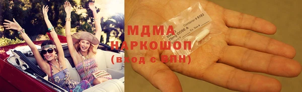 ECSTASY Богданович