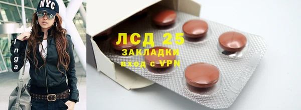 ECSTASY Богданович
