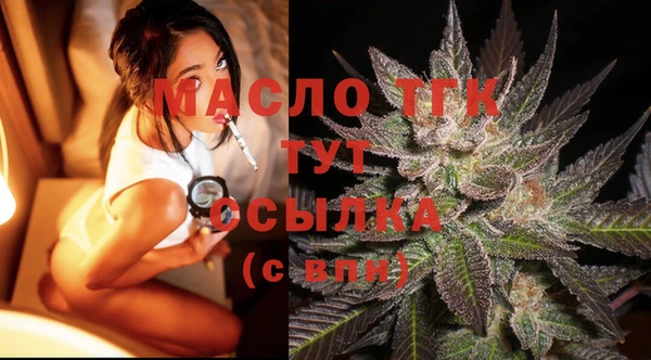 ECSTASY Богданович