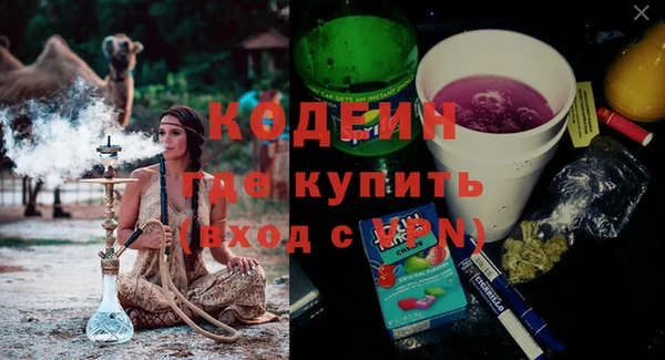 дживик Богородицк