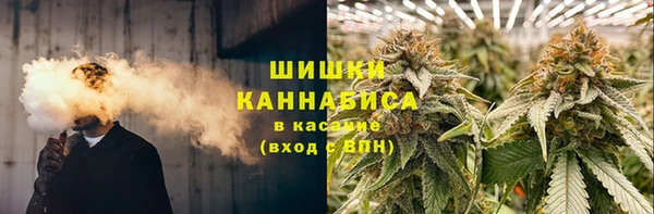 ECSTASY Богданович