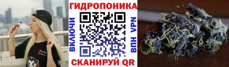 Бошки марихуана Bruce Banner  купить   Дрезна 